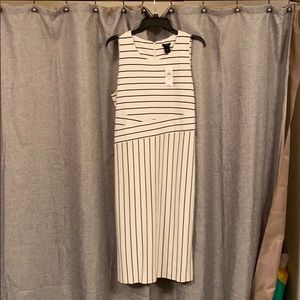 NWT Ann Taylor Factory Heavy Knit Dress